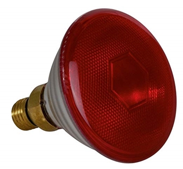 Εικόνα της Λάμπα Πυρακτώσεως IR PAR38 175W E27 Classic Κόκκινη Sylvania