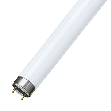 Εικόνα της Λάμπα Φθορισμού Basic T5 Short 13W 6500K G5 720Lm 0,517m