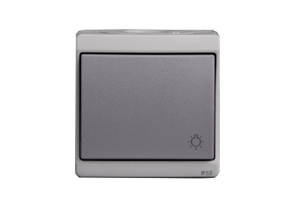 Εικόνα από IP55 Μπουτόν με σύμ. Λαμ. Γκρι (96116.07) mureva